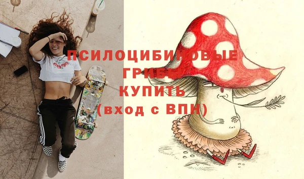 ешки Алексеевка