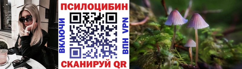 купить  сайты  Тайшет  Галлюциногенные грибы Psilocybine cubensis 