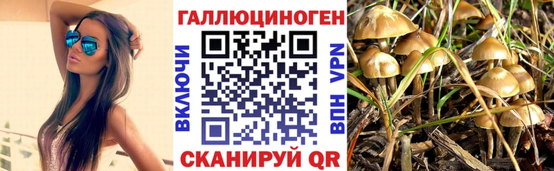 Галлюциногенные грибы мицелий Тайшет